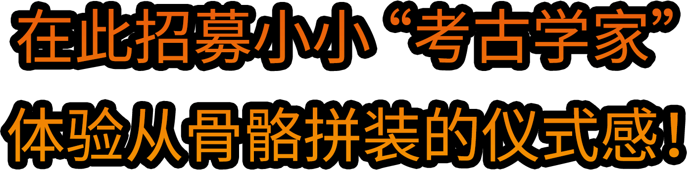 在此招募小小“考古学家” 体验从骨骼拼装的仪式感！