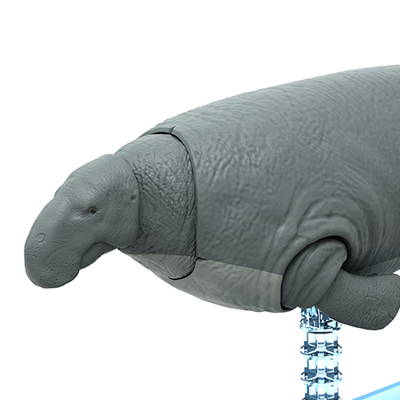 恐龙拼装模型 大海牛