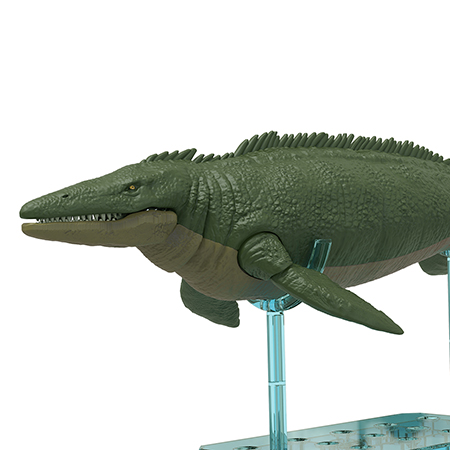 恐龙拼装模型 沧龙1899